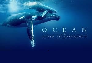 دانلود فیلم Ocean with David Attenborough 2025 با زيرنويس چسبيده – دانلود فیلم